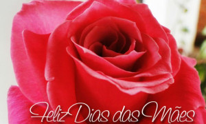 Parabéns a Todas as Mães Arneirozenses. 