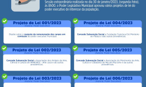 LEGISLATIVO EM AÇÃO