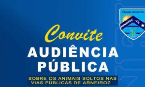 AUDIÊNCIA PUBLICA